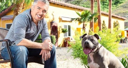 Cesar Millan Heads To KL